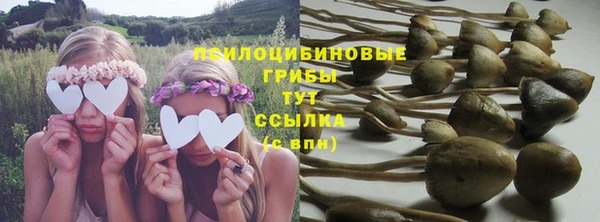 гидра Заволжье