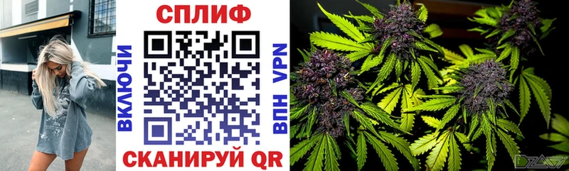 площадка Telegram  mega ссылки  Дербент  МАРИХУАНА план 